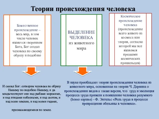 Теории происхождения человека Божественное происхождение – весь мир, в том числе человек является