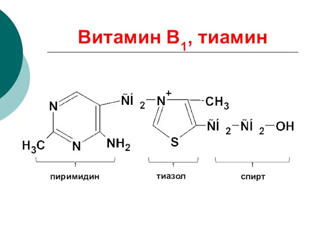 Витамин В1, тиамин пиримидин тиазол спирт