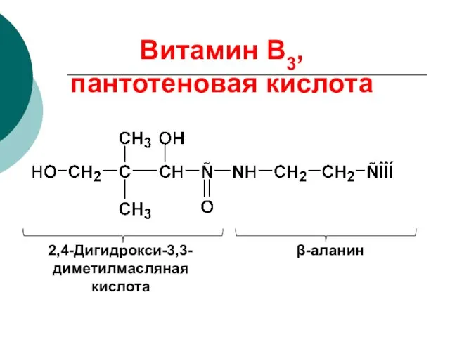 Витамин В3, пантотеновая кислота β-аланин 2,4-Дигидрокси-3,3-диметилмасляная кислота