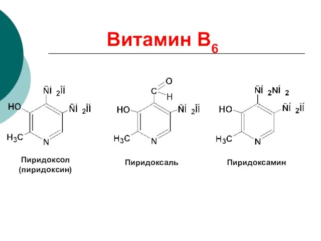 Пиридоксол (пиридоксин) Пиридоксаль Пиридоксамин Витамин В6