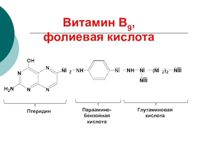 Витамин В9, фолиевая кислота Птеридин Параамино-бензойная кислота Глутаминовая кислота