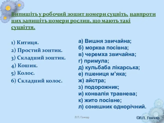 Випишіть у робочий зошит номери суцвіть, навпроти них запишіть номери