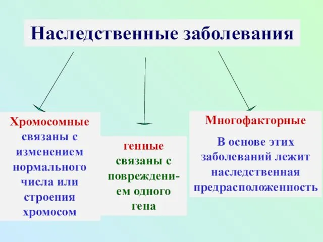 Наследственные заболевания генные связаны с повреждени-ем одного гена Хромосомные связаны