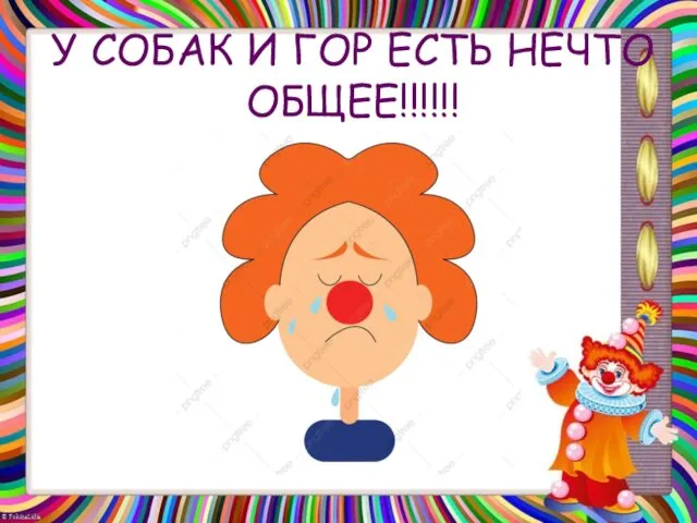 У СОБАК И ГОР ЕСТЬ НЕЧТО ОБЩЕЕ!!!!!!