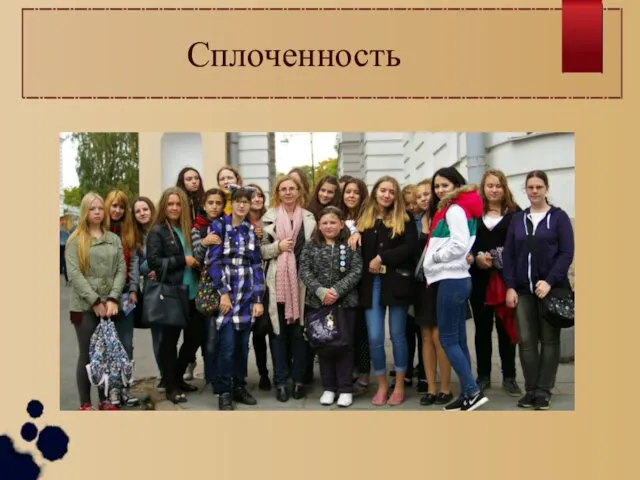 Сплоченность