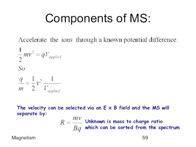 Magnetism Components of MS: