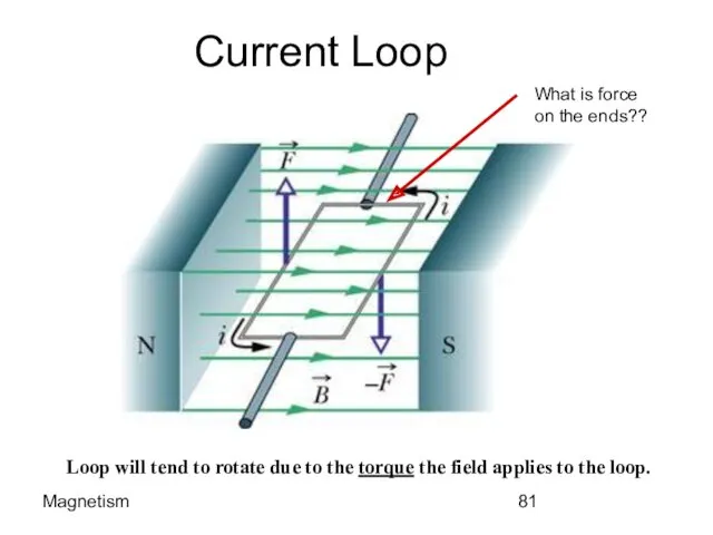 Magnetism Current Loop Loop will tend to rotate due to