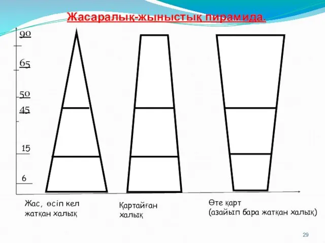 Жасаралық-жыныстық пирамида. 90 65 50 45 15 6 Жас, өсіп