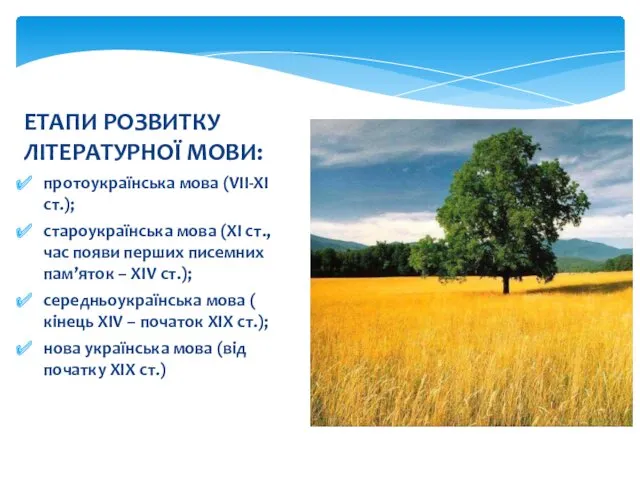 ЕТАПИ РОЗВИТКУ ЛІТЕРАТУРНОЇ МОВИ: протоукраїнська мова (VІІ-ХІ ст.); староукраїнська мова