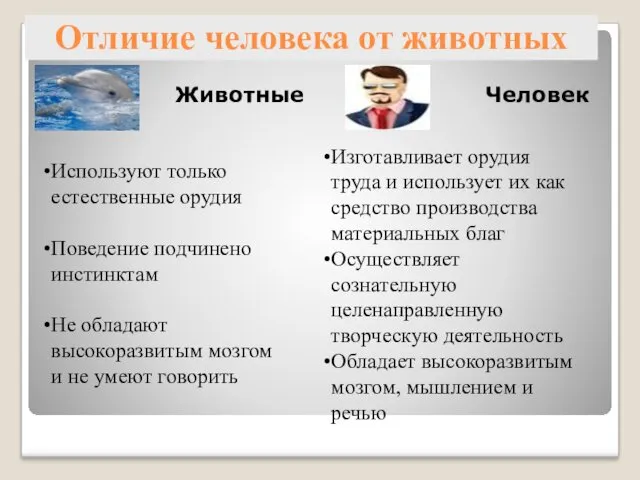 Отличие человека от животных Животные Человек Изготавливает орудия труда и