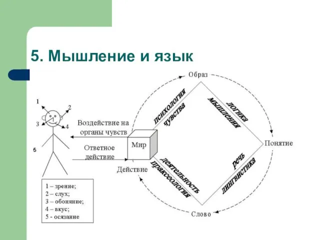 5. Мышление и язык