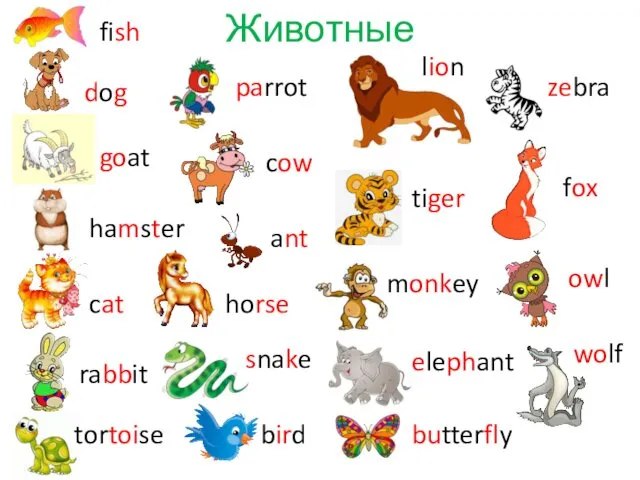 Животные fish dog hamster goat cat rabbit parrot cow horse