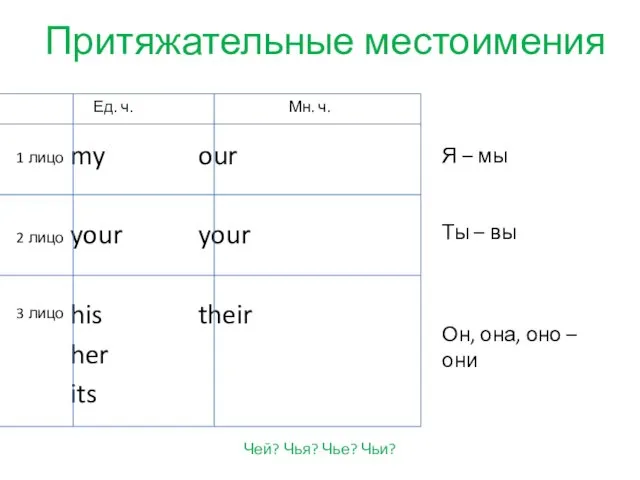 Притяжательные местоимения my our your your his their her its