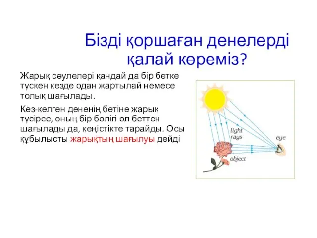 Бізді қоршаған денелерді қалай көреміз? Жарық сәулелері қандай да бір