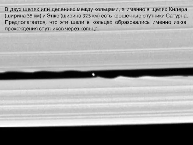 В двух щелях или делениях между кольцами, а именно в