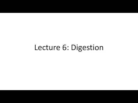 Lecture 6: Digestion