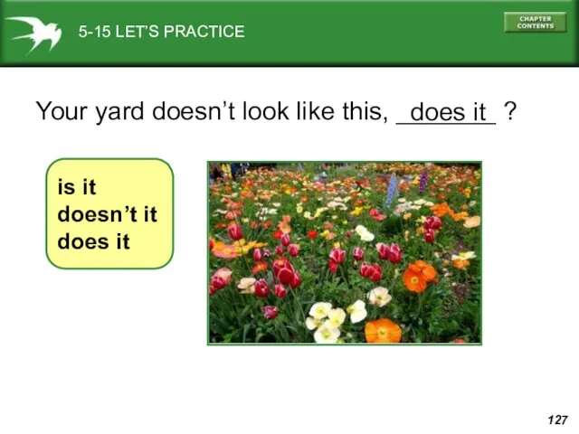 5-15 LET’S PRACTICE Your yard doesn’t look like this, _______