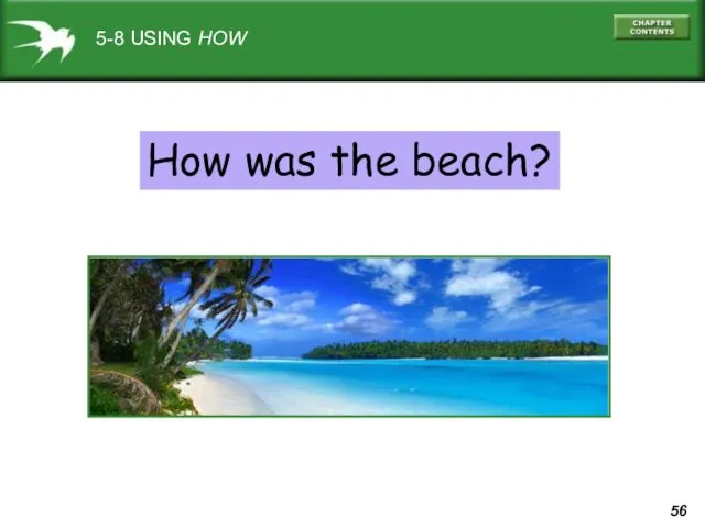 5-8 USING HOW How was the beach?