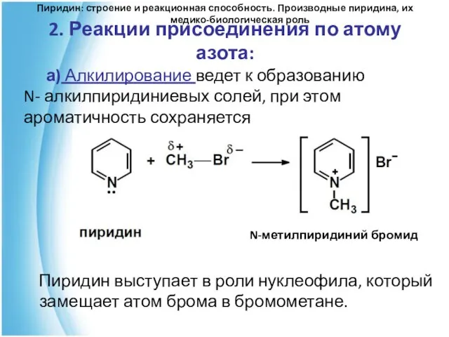 2. Реакции присоединения по атому азота: а) Алкилирование ведет к