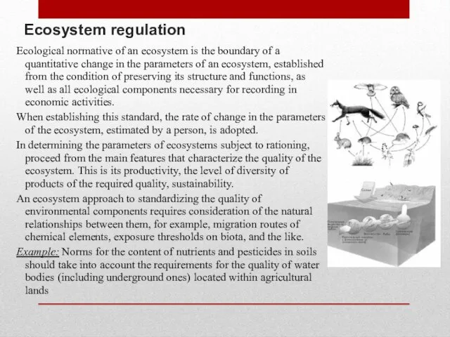 Ecosystem regulation Ecological normative of an ecosystem is the boundary