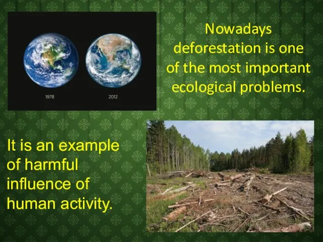 Nowadays deforestation is one of the most important ecological problems.