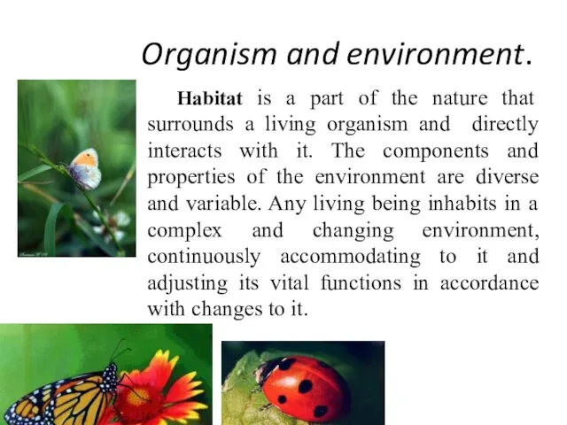 Organism and environment. Habitat is a part of the nature