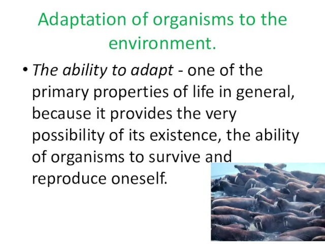 Adaptation of organisms to the environment. The ability to adapt