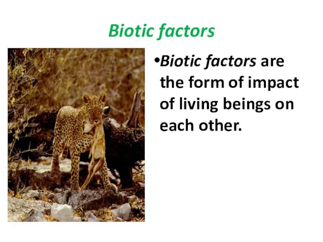 Biotic factors Biotic factors are the form of impact of living beings on each other.