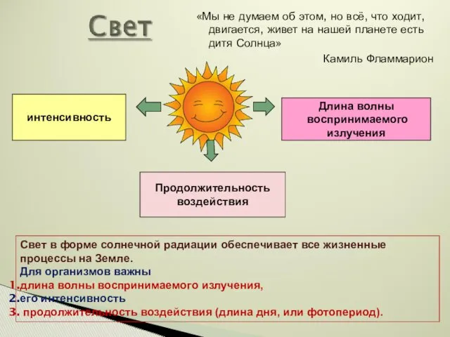 «Мы не думаем об этом, но всё, что ходит, двигается,