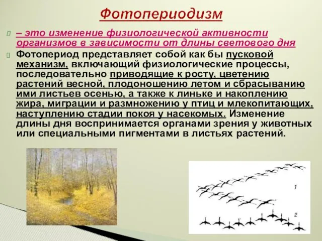 – это изменение физиологической активности организмов в зависимости от длины