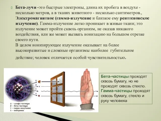 Бета-лучи -это быстрые электроны, длина их пробега в воздухе -