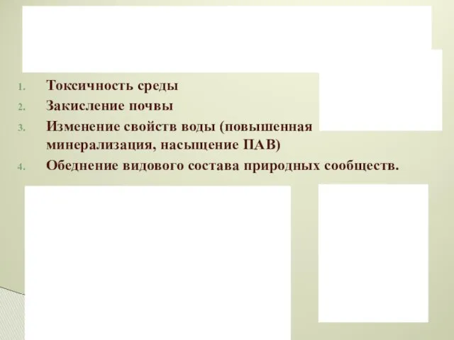 Токсичность среды Закисление почвы Изменение свойств воды (повышенная минерализация, насыщение ПАВ) Обеднение видового состава природных сообществ.