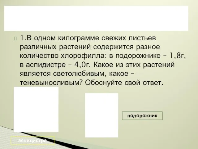 1.В одном килограмме свежих листьев различных растений содержится разное количество