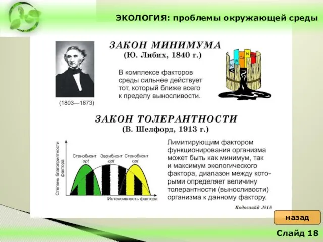 ЭКОЛОГИЯ: проблемы окружающей среды Слайд 18 назад