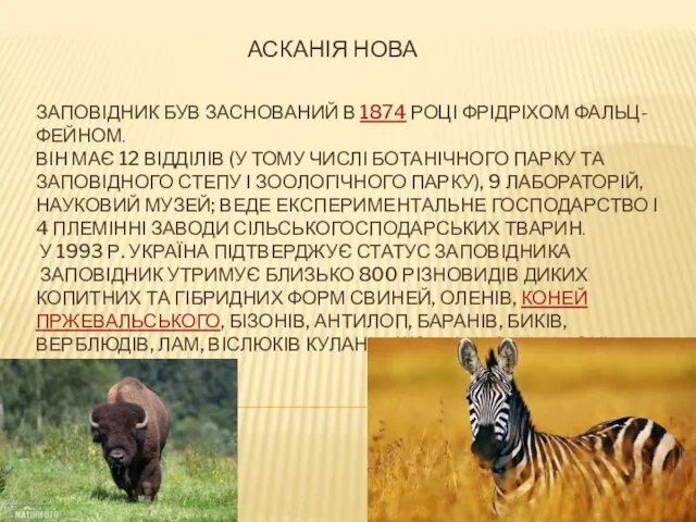 ЗАПОВІДНИК БУВ ЗАСНОВАНИЙ В 1874 РОЦІ ФРІДРІХОМ ФАЛЬЦ-ФЕЙНОМ. ВІН МАЄ