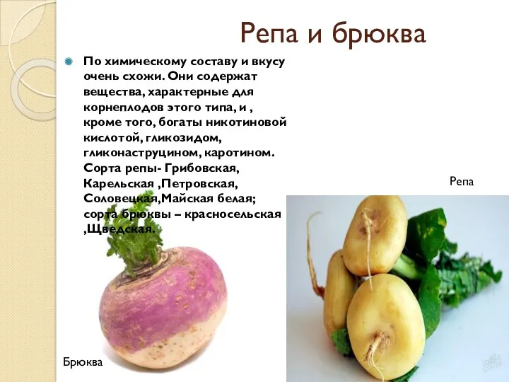 Репа и брюква По химическому составу и вкусу очень схожи.