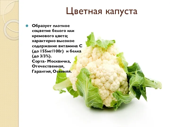 Цветная капуста Образует плотное соцветие белого или кремового цвета; характерно