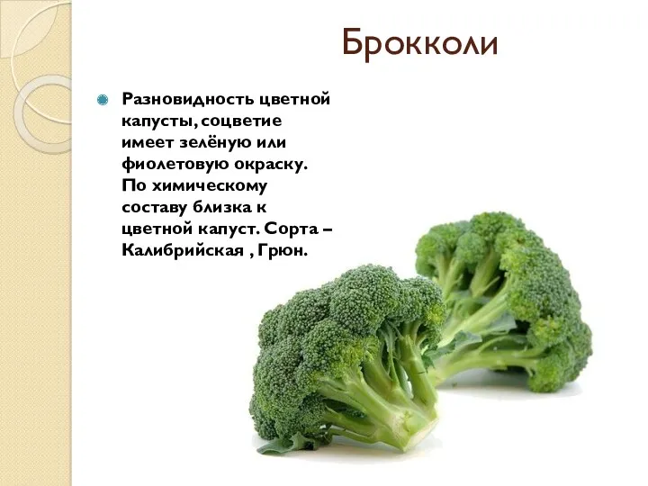 Брокколи Разновидность цветной капусты, соцветие имеет зелёную или фиолетовую окраску.