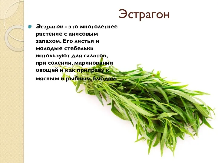 Эстрагон Эстрагон - это многолетнее растение с анисовым запахом. Его