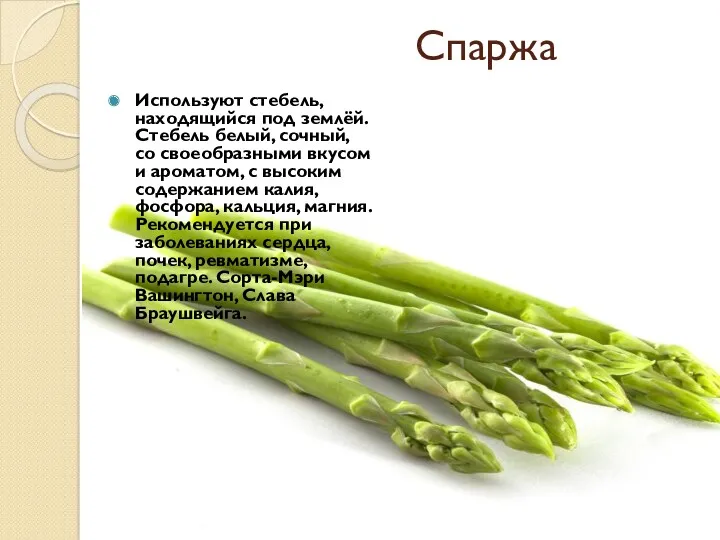 Спаржа Используют стебель, находящийся под землёй. Стебель белый, сочный, со