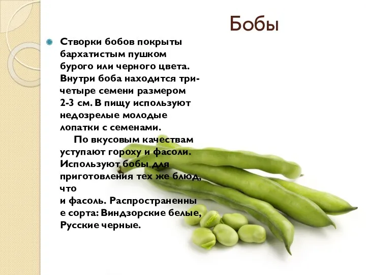 Бобы Створки бобов покрыты бархатистым пушком бурого или черного цвета.