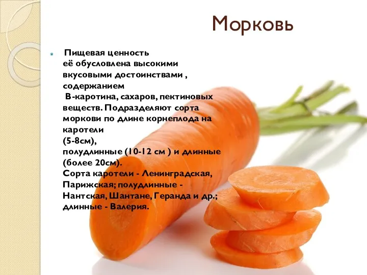 Морковь Пищевая ценность её обусловлена высокими вкусовыми достоинствами ,содержанием В-каротина,