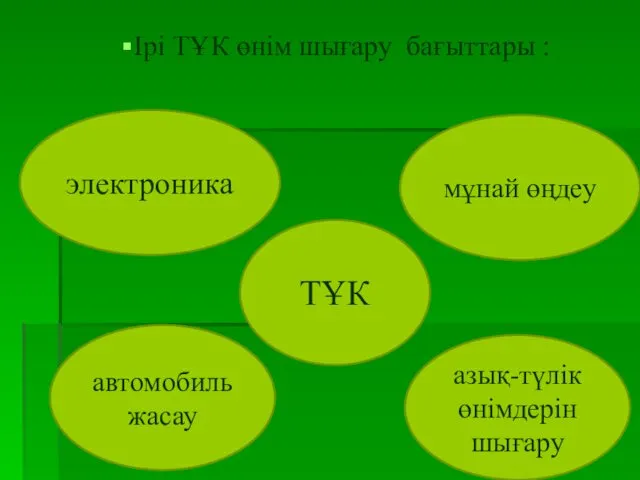 Ірі ТҰК өнім шығару бағыттары : электроника автомобильжасау азық-түлік өнімдерін шығару мұнай өңдеу ТҰК