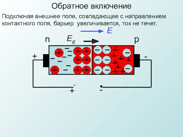 n p ЕК Е • • + - + -