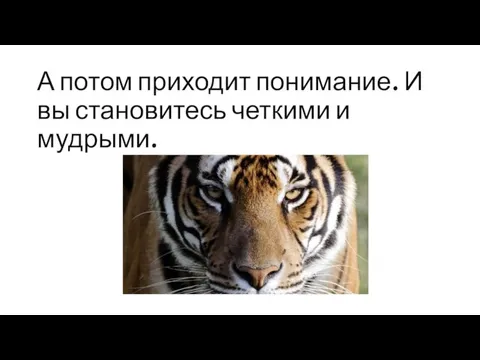 А потом приходит понимание. И вы становитесь четкими и мудрыми.