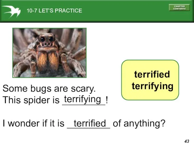 10-7 LET’S PRACTICE terrified terrifying Some bugs are scary. This