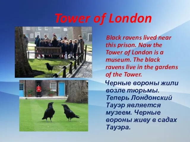 Tower of London Black ravens lived near this prison. Now