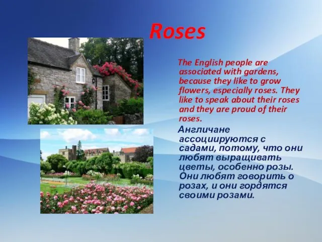 Roses The English people are associated with gardens, because they