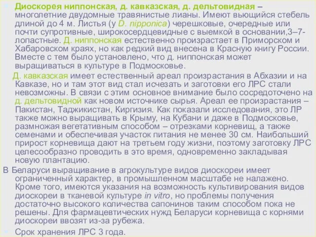 Диоскорея ниппонская, д. кавказская, д. дельтовидная – многолетние двудомные травянистые