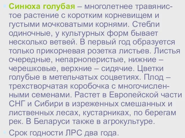 Синюха голубая – многолетнее травянис-тое растение с коротким корневищем и